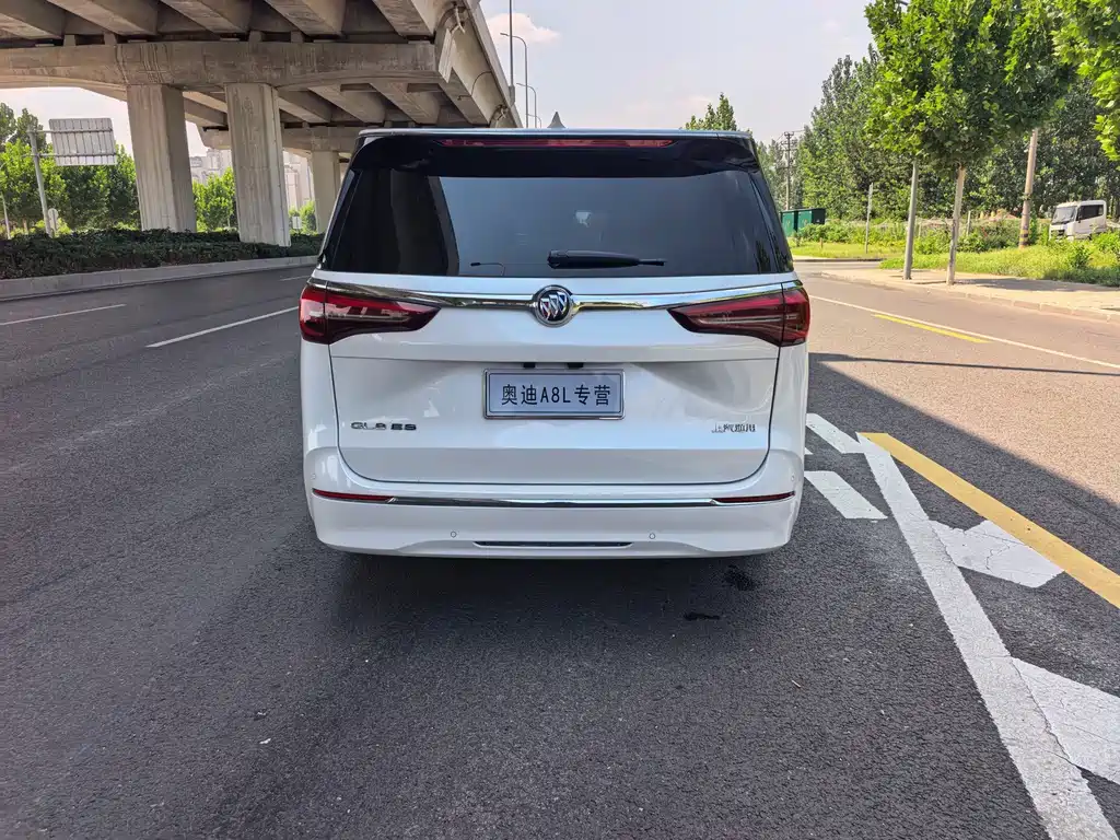 Buick GL8 2023 ES Luxury