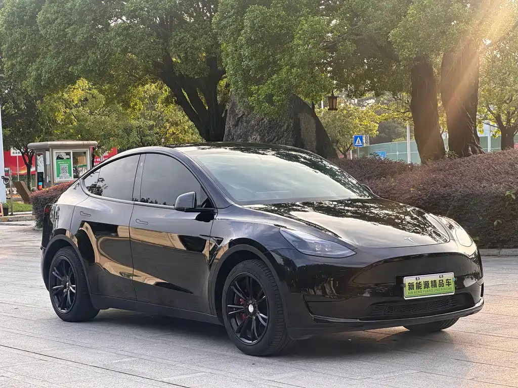 Tesla Model Y — фотографии объявления, Фото 4