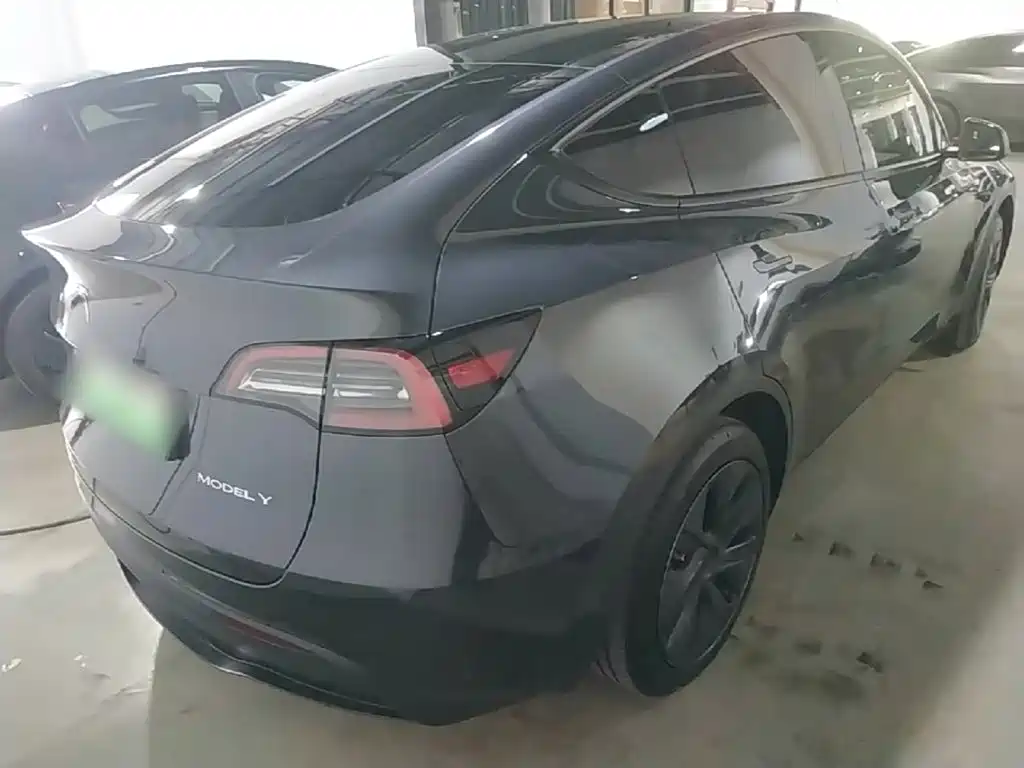 Tesla Model Y — миниатюра 7