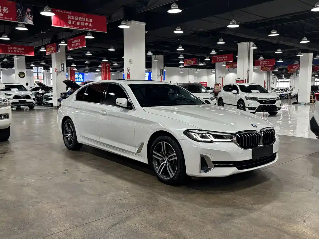 BMW 5 Series — миниатюра 3