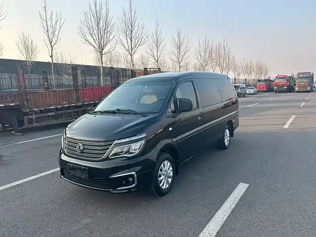 dongfeng lingzhi