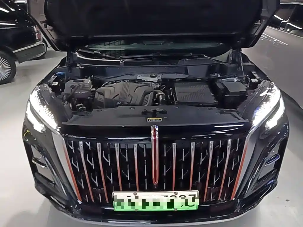 Hongqi Hongqi HS3 PHEV — миниатюра 20