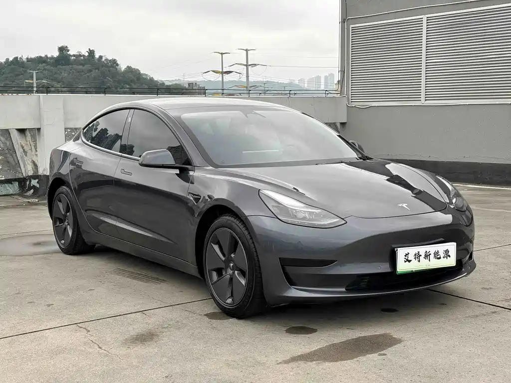Tesla Model 3 — миниатюра 3