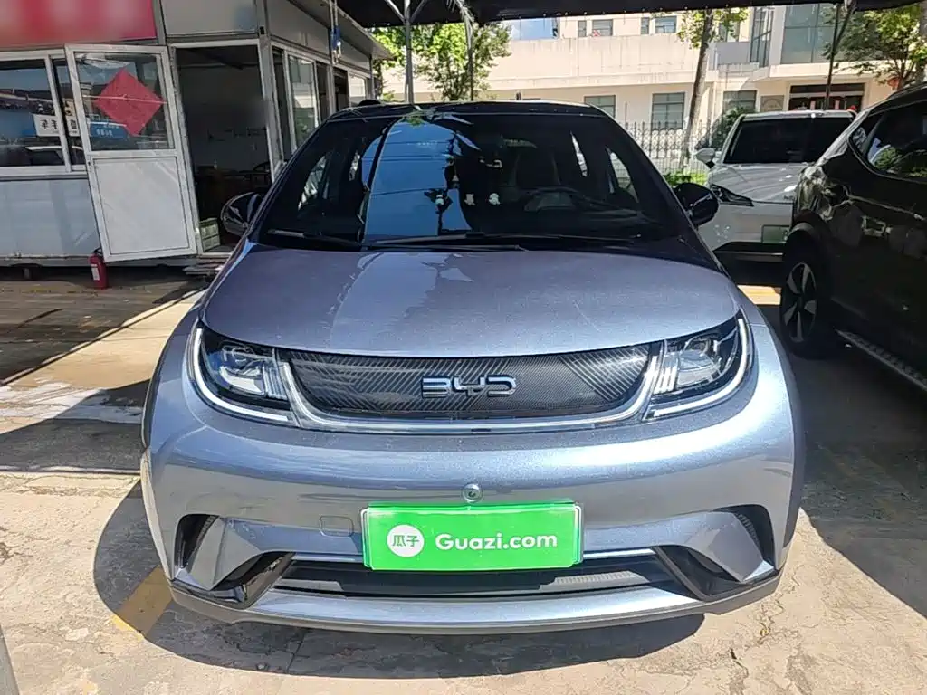 BYD Dolphin — миниатюра 3