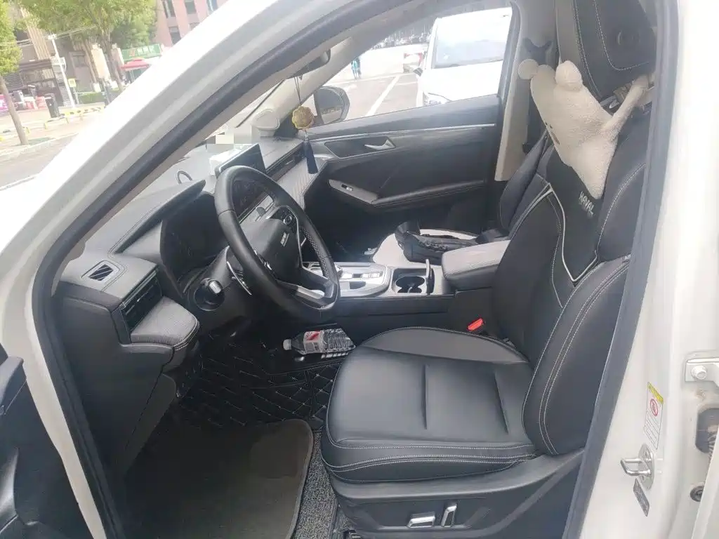 Haval Chulian — миниатюра 8