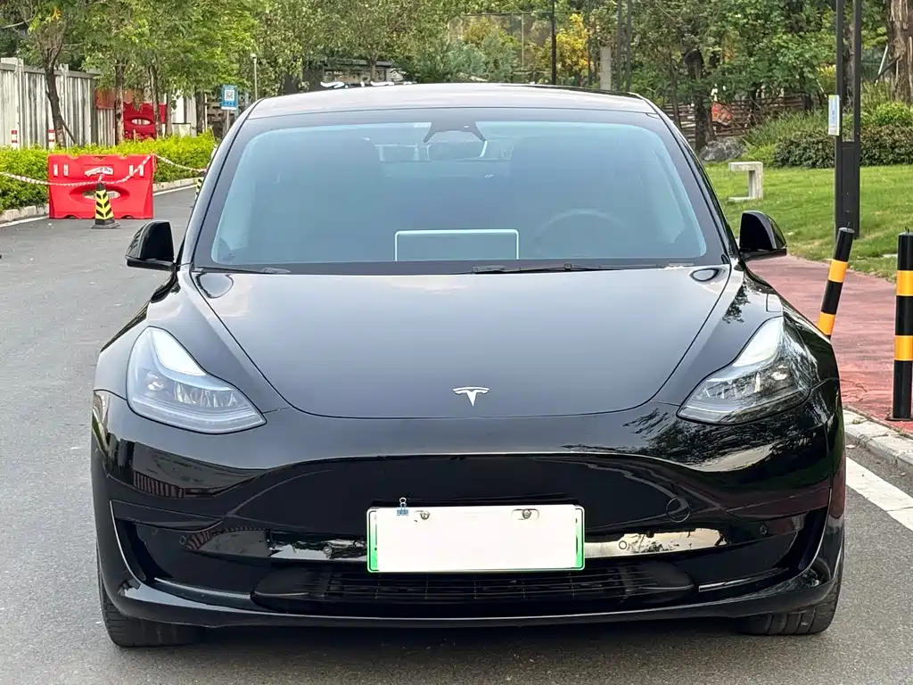 Tesla Model 3 — миниатюра 2