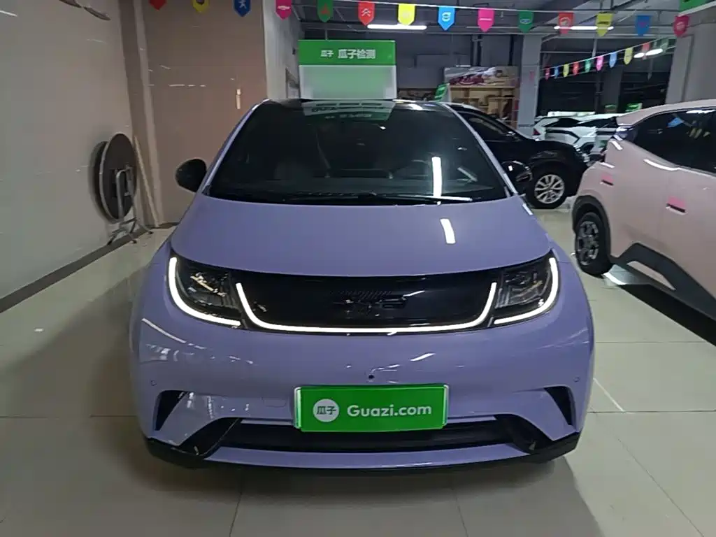 BYD Dolphin — миниатюра 3