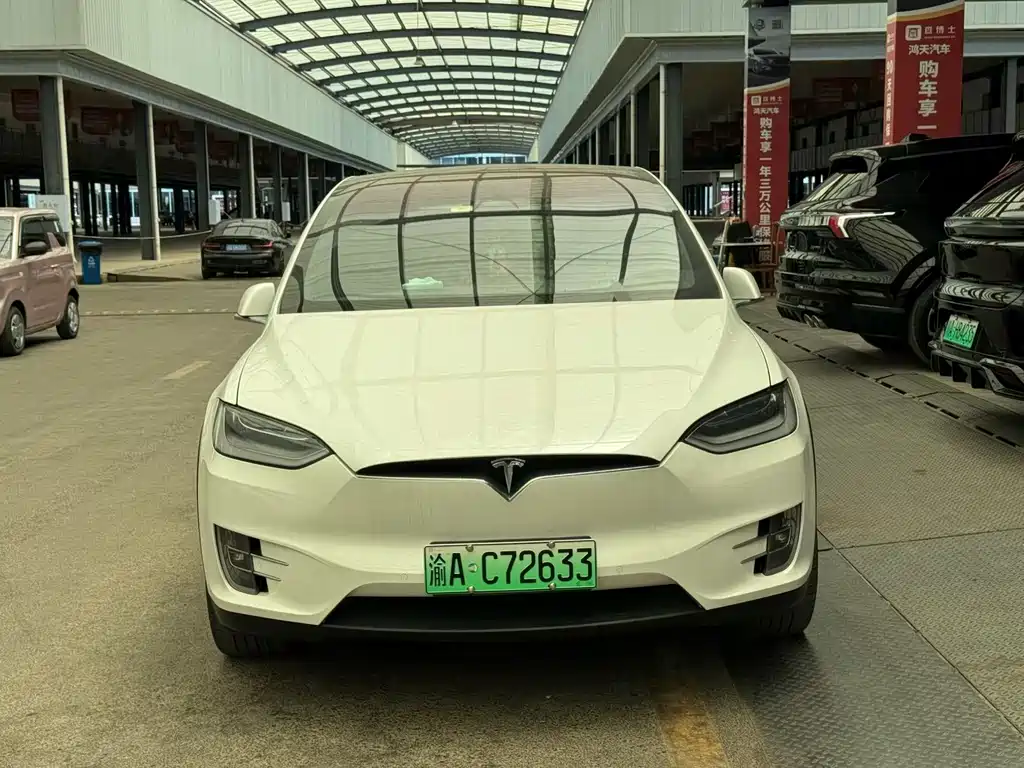 Tesla Model X — миниатюра 2