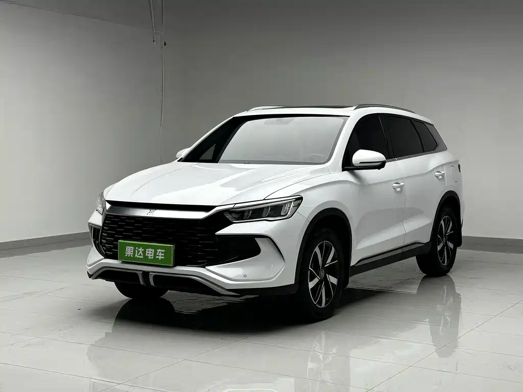 BYD Pro New Energy