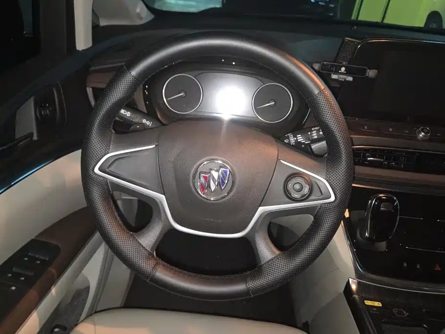 Buick GL8 — миниатюра 15
