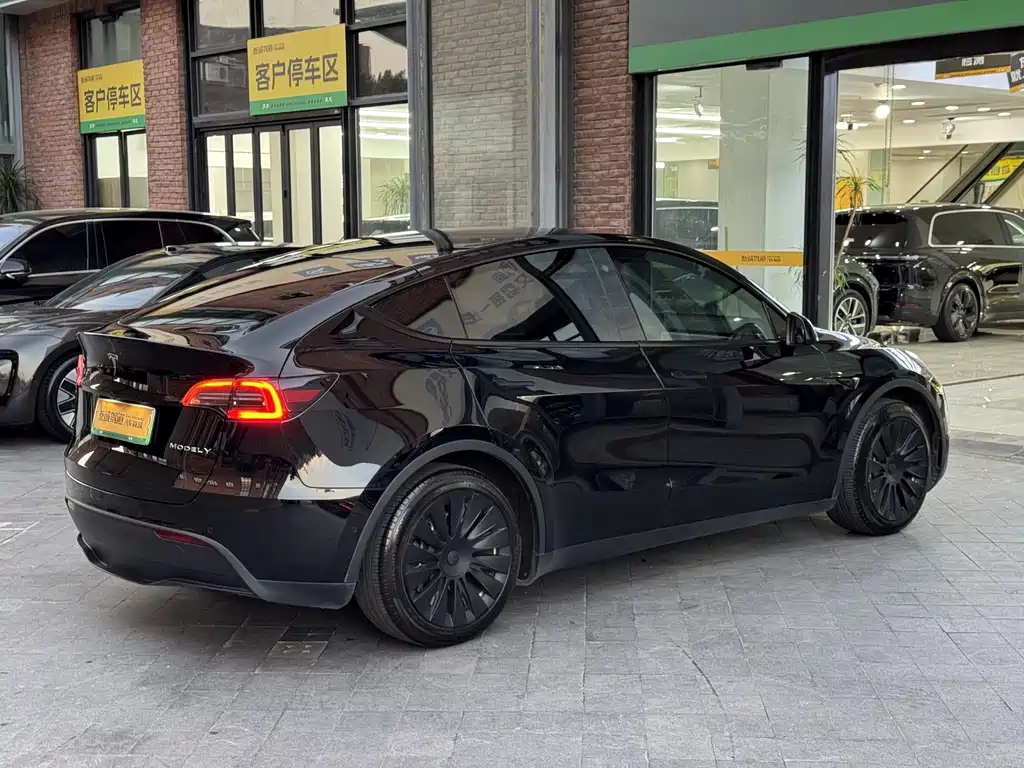Tesla Model Y — миниатюра 7