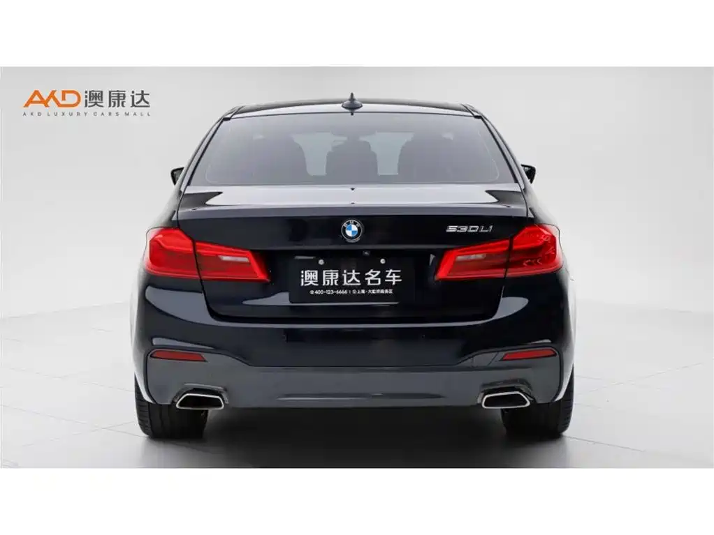 BMW 5 Series 5 2020 530Li Premium M Sport