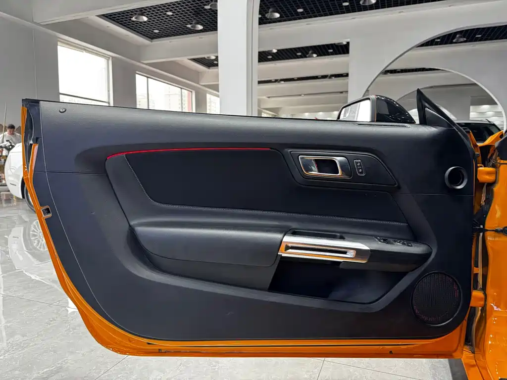 Ford Mustang — миниатюра 16