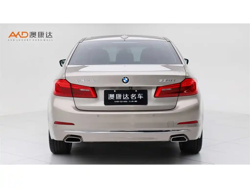 BMW 5 Series 5 2019 530Li Lead Luxury