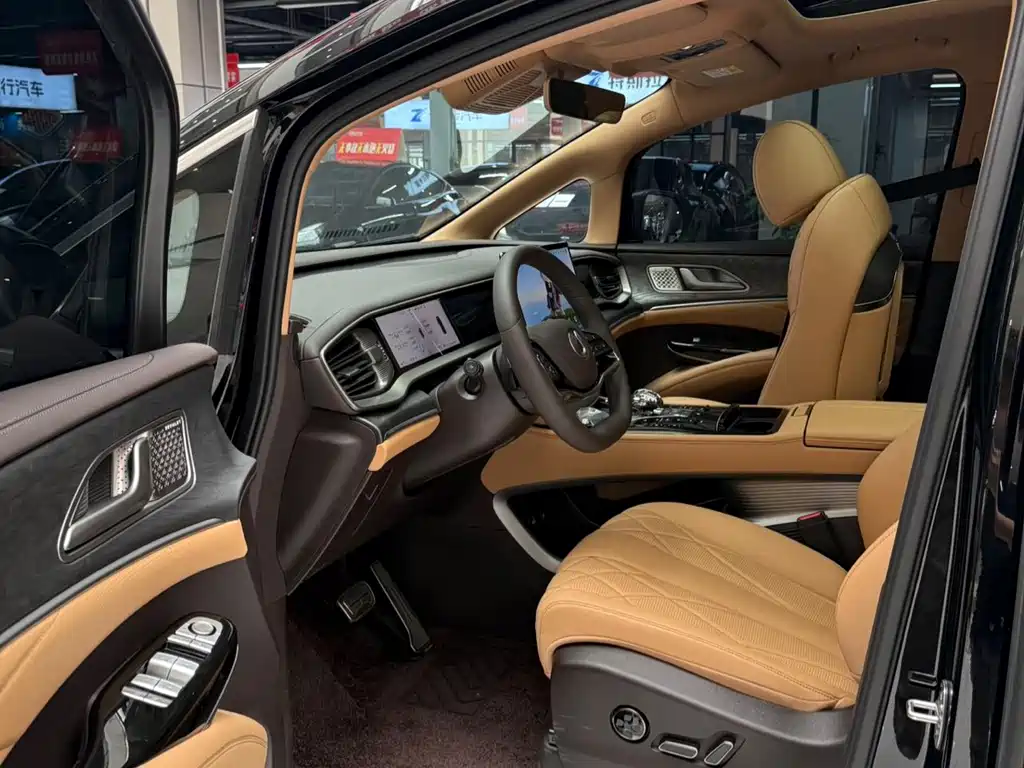 Denza Denza D9 — миниатюра 8