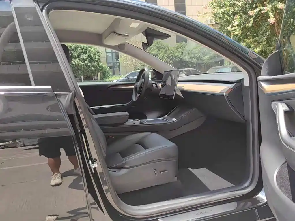 Tesla Model Y — миниатюра 7