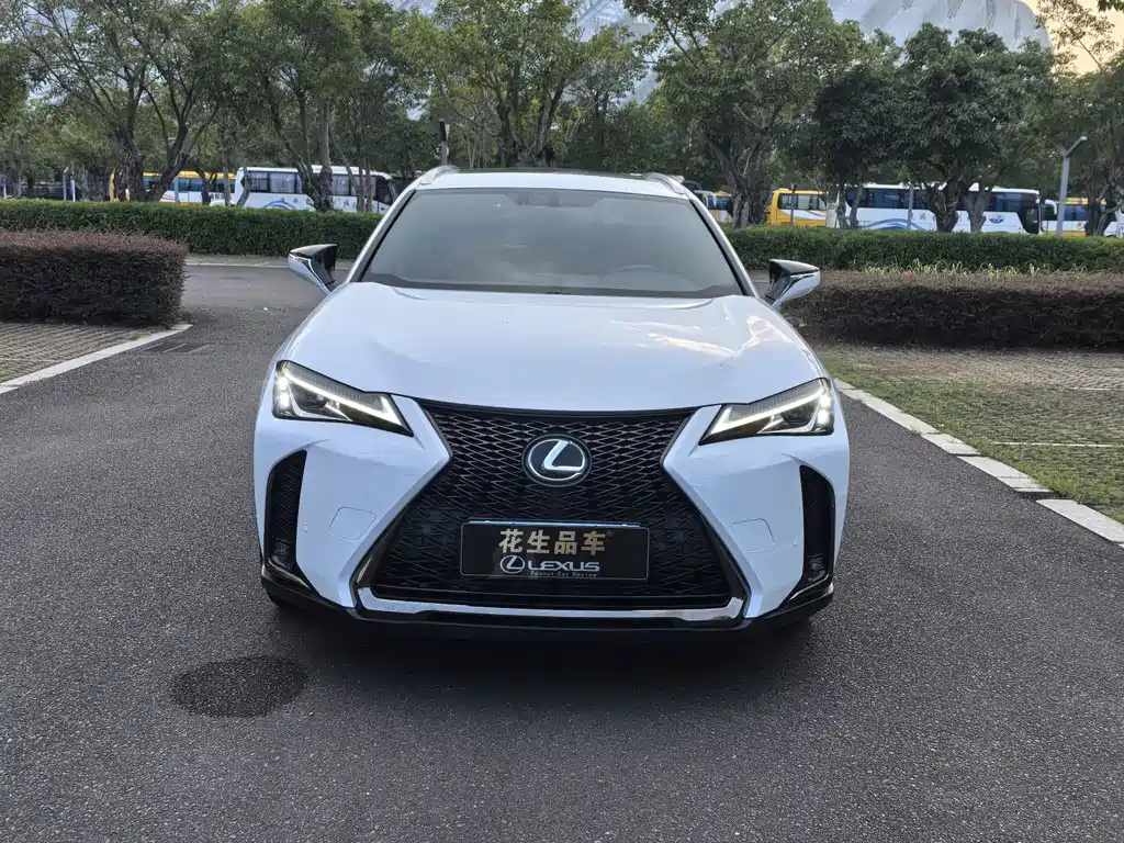 Lexus UX — миниатюра 2
