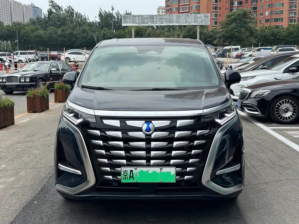 Denza Denza D9 — миниатюра 2
