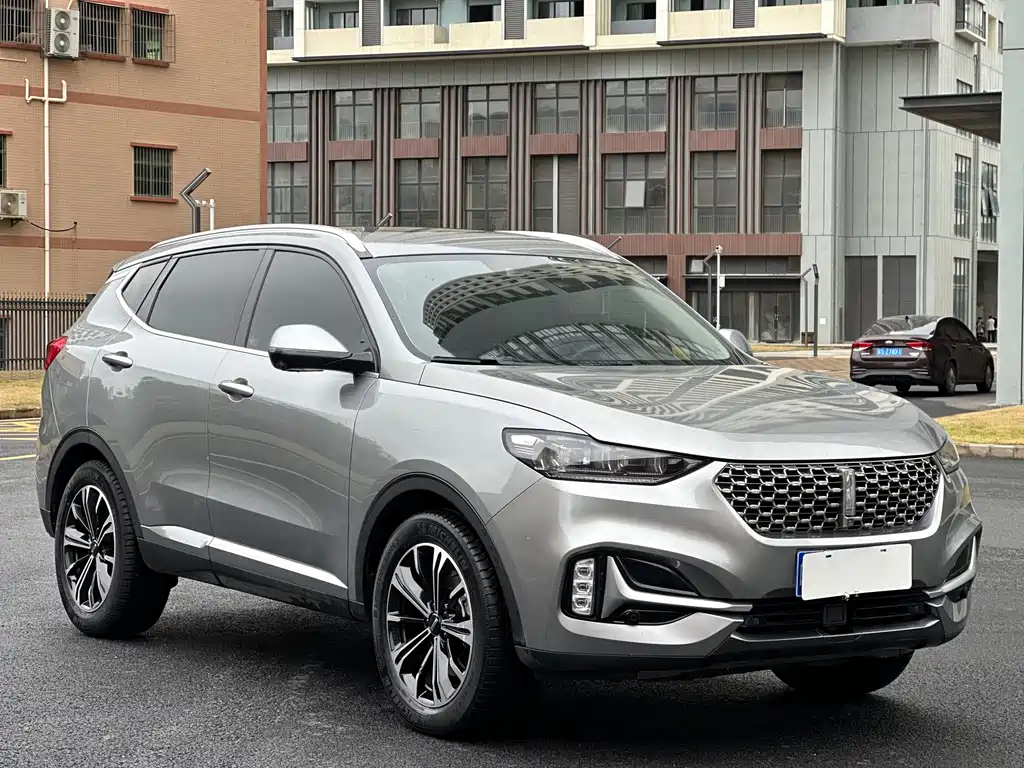 WEI PAI WEI BRAND VV6