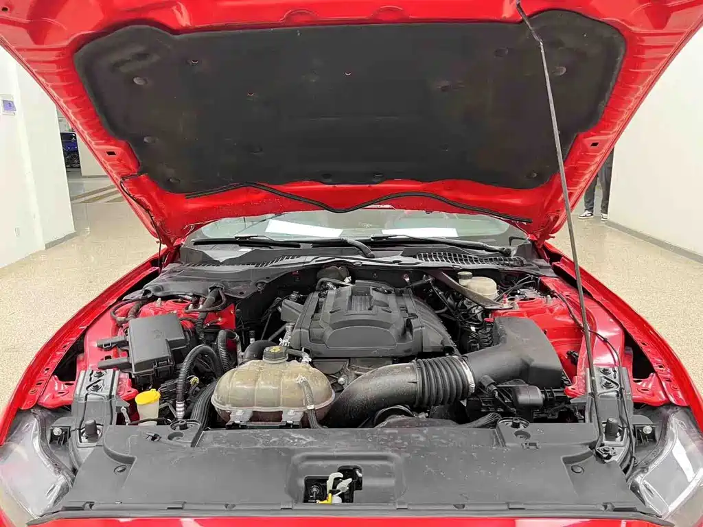 Ford Mustang — миниатюра 25
