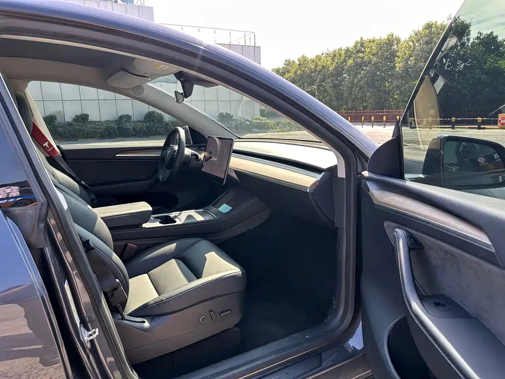 Tesla Model Y — миниатюра 17