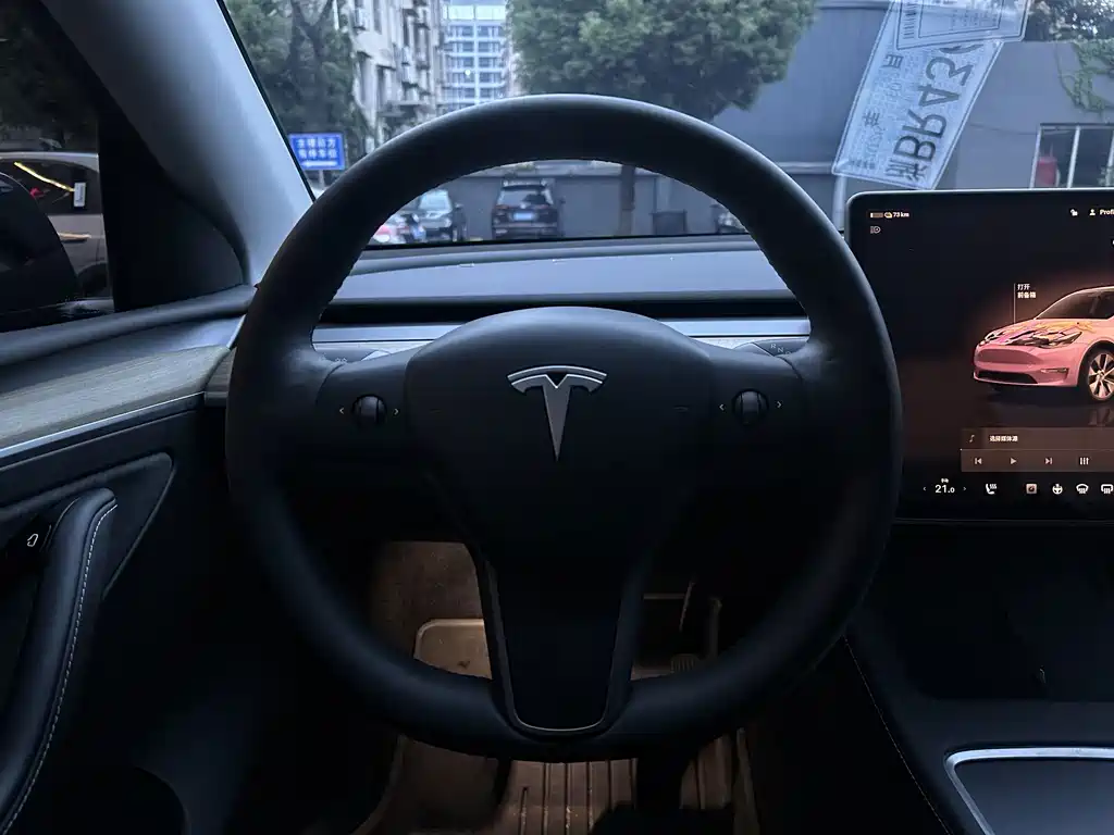 Tesla Model Y — миниатюра 6