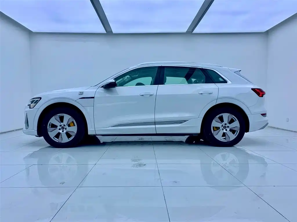 Audi e-tron 2021 50 quattro Luxury