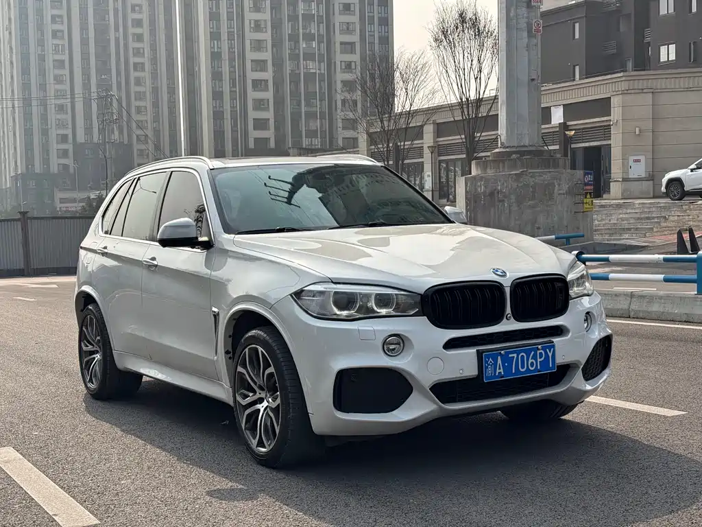 BMW X5 (Import) — миниатюра 3