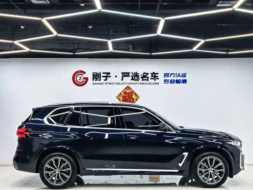 BMW X5 — миниатюра 24