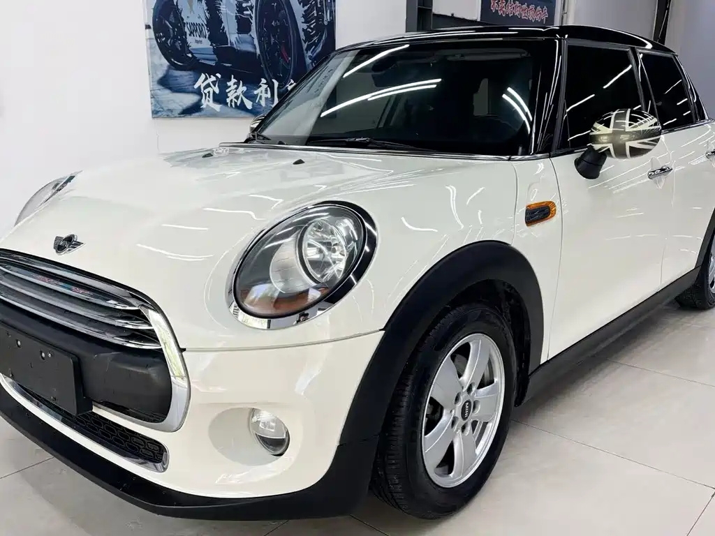 Mini Mini 2016