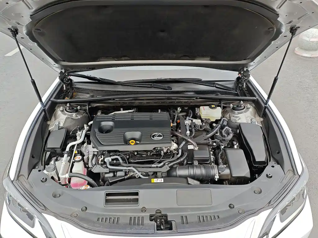 Lexus ES 300h Excellence Edition, фото 10