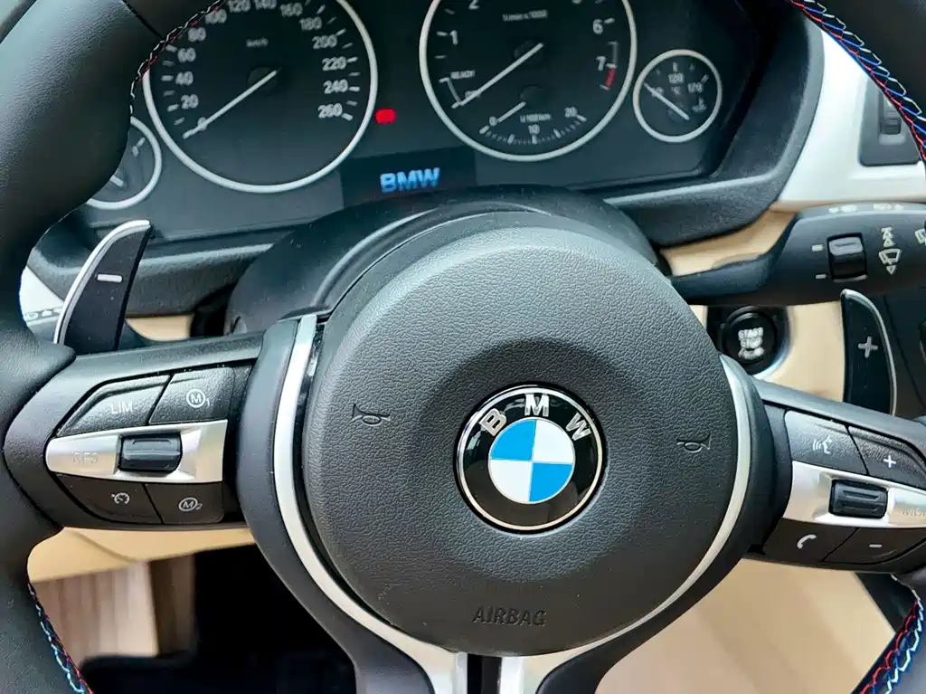 BMW 3 Series (Import) 320i Sport Design Package Touring Edition, фото 10