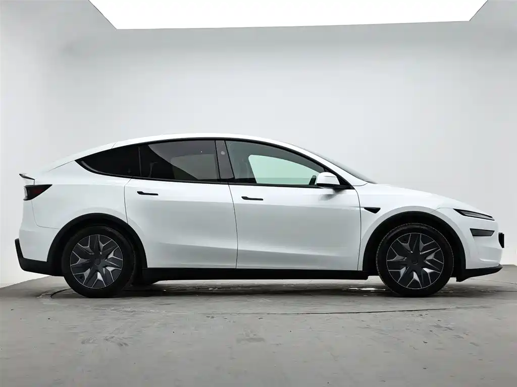 Tesla Model Y L