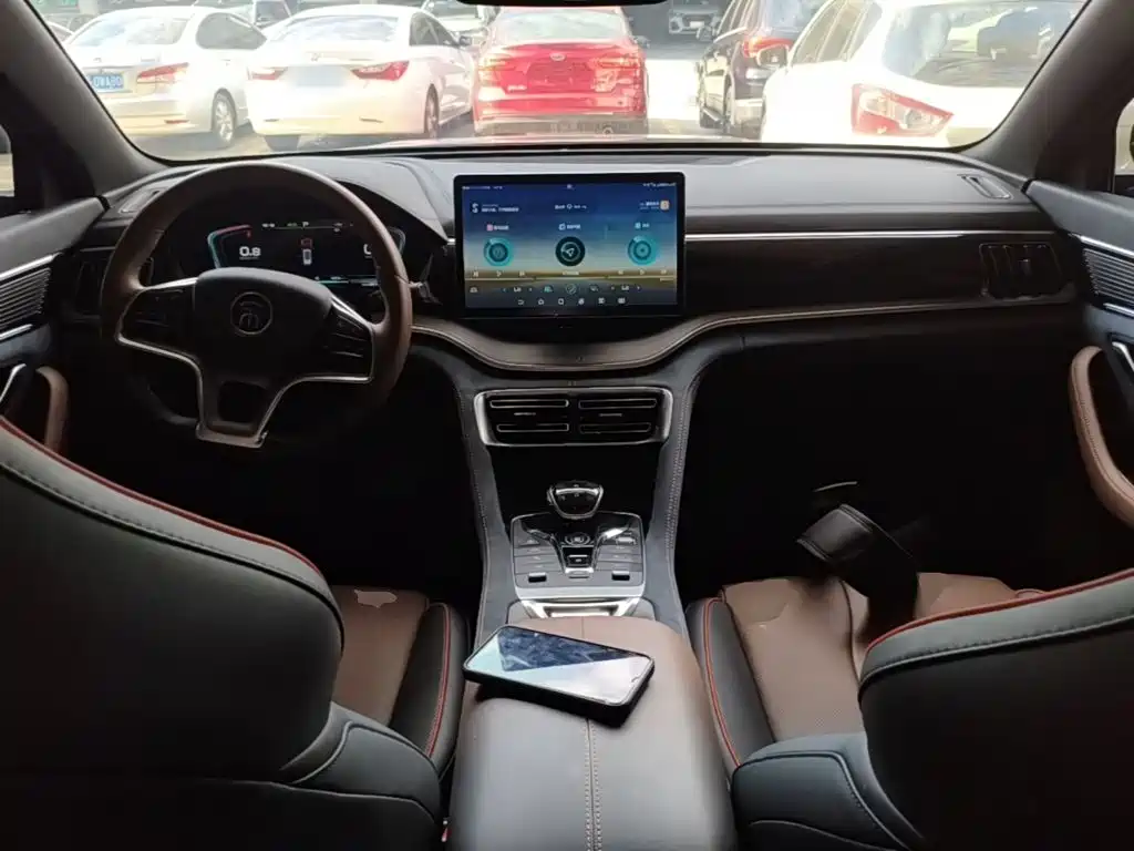 BYD PLUS — миниатюра 10