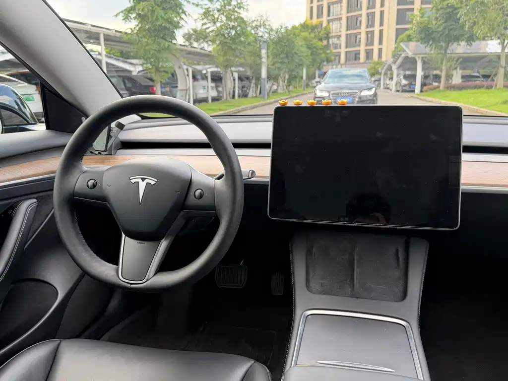 Tesla Model 3 — миниатюра 14