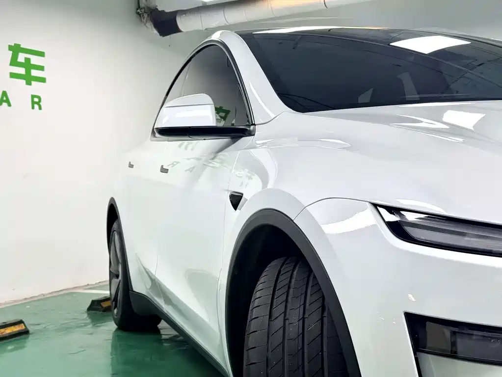 Tesla Model Y — миниатюра 3
