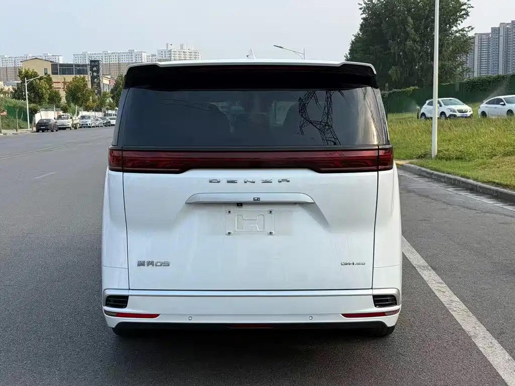 Denza Denza D9 — миниатюра 6