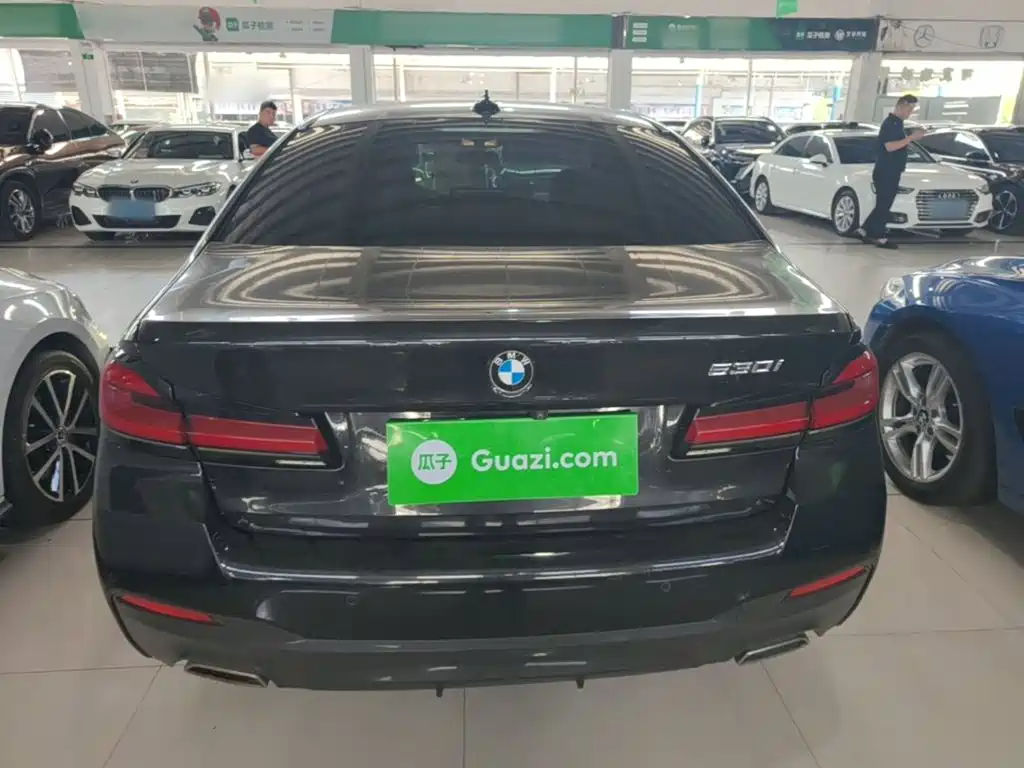 BMW 5 Series (Import) — миниатюра 6