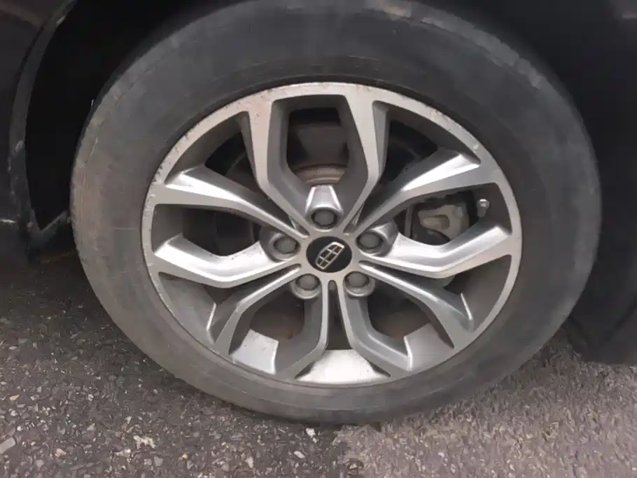 Geely Borui — миниатюра 6