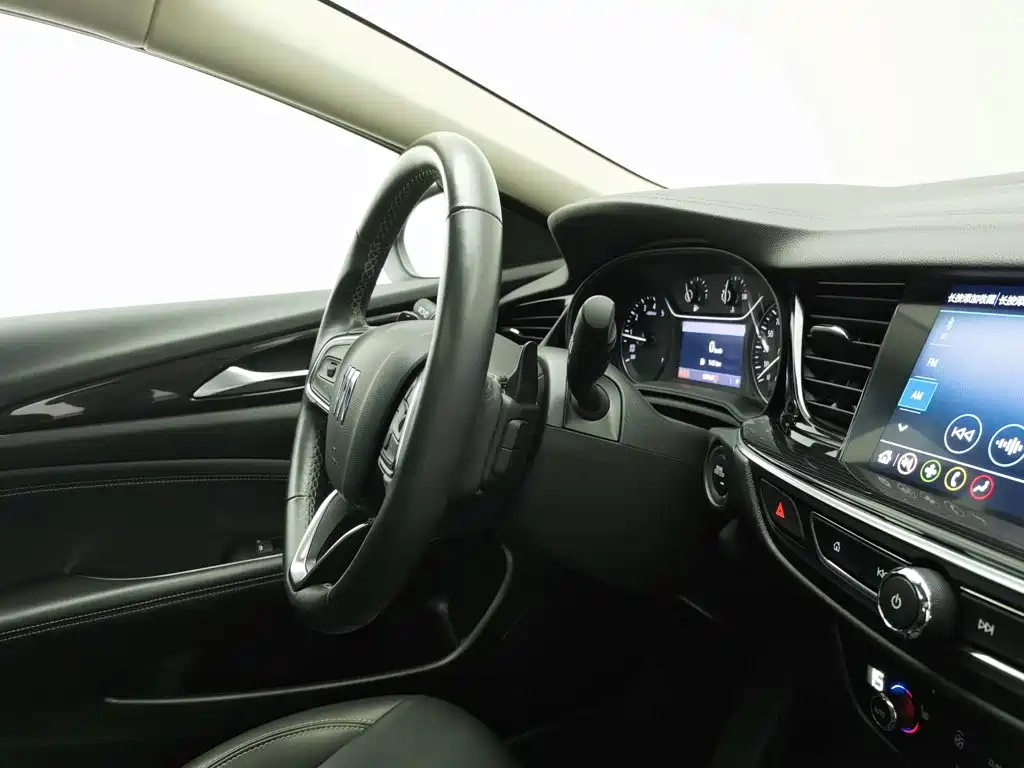 Buick Regal — миниатюра 22