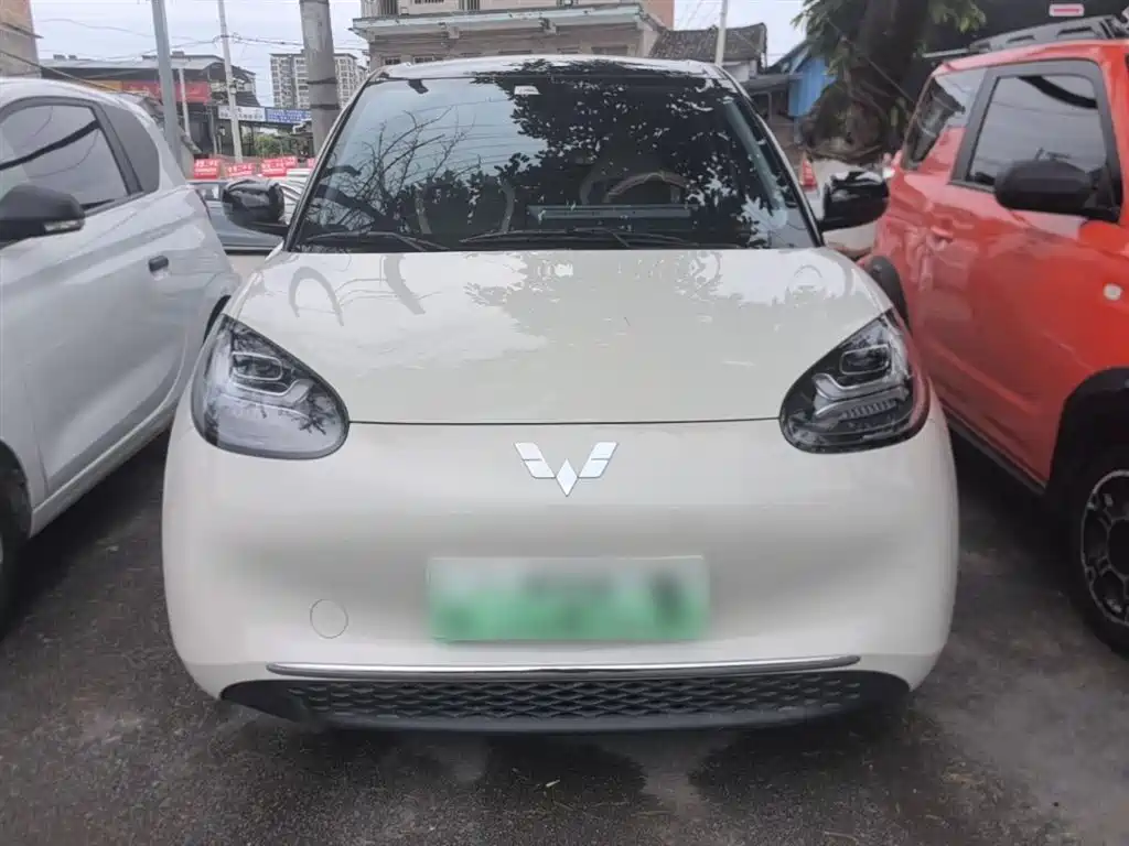 Wuling Binguo 2025 333km Enjoy