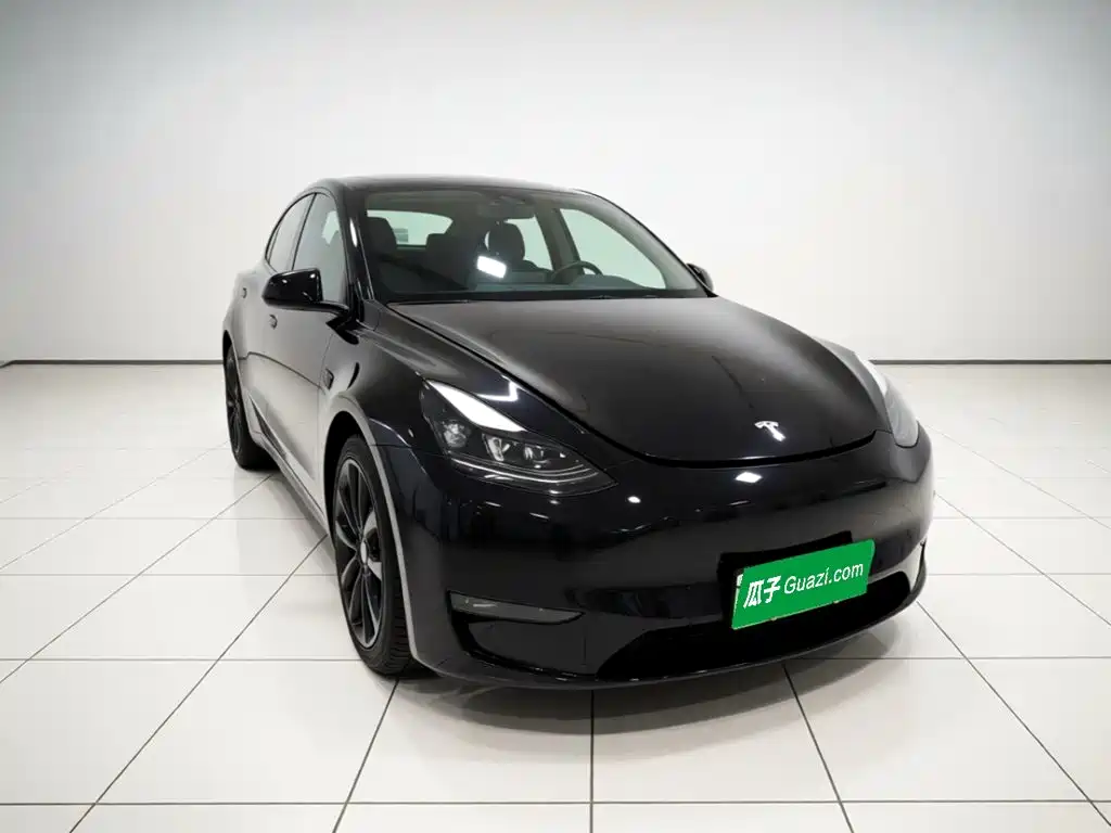 Tesla Model Y — миниатюра 3