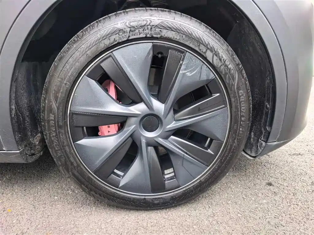 Tesla Model Y — миниатюра 8