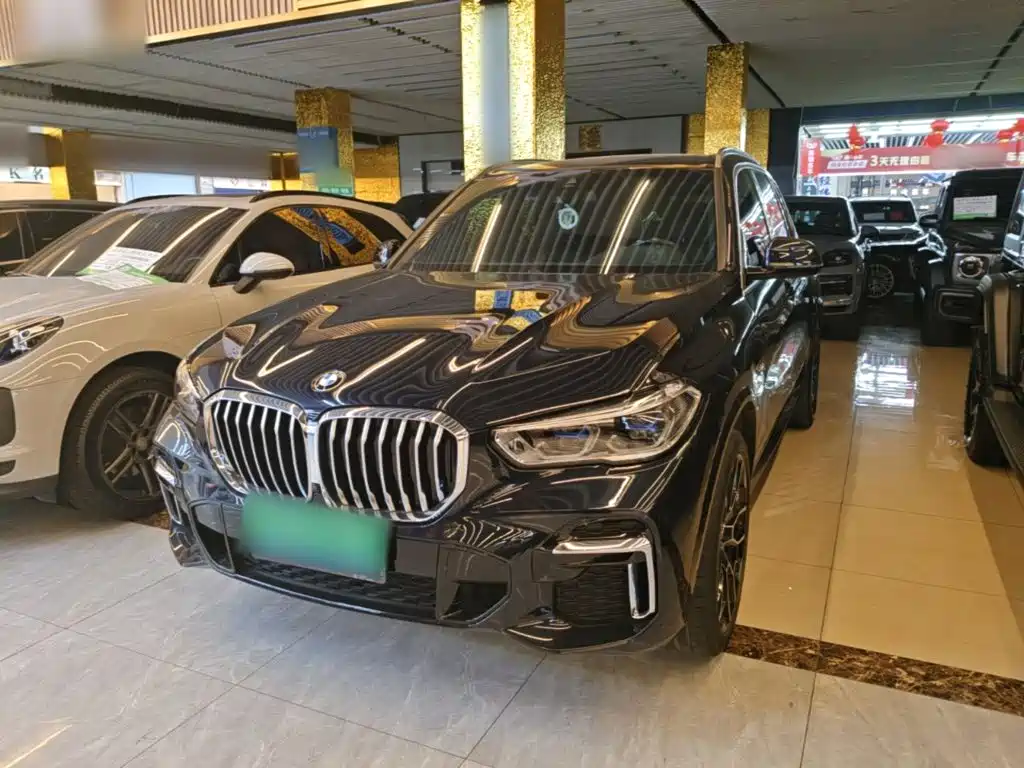 BMW X5 — миниатюра 2