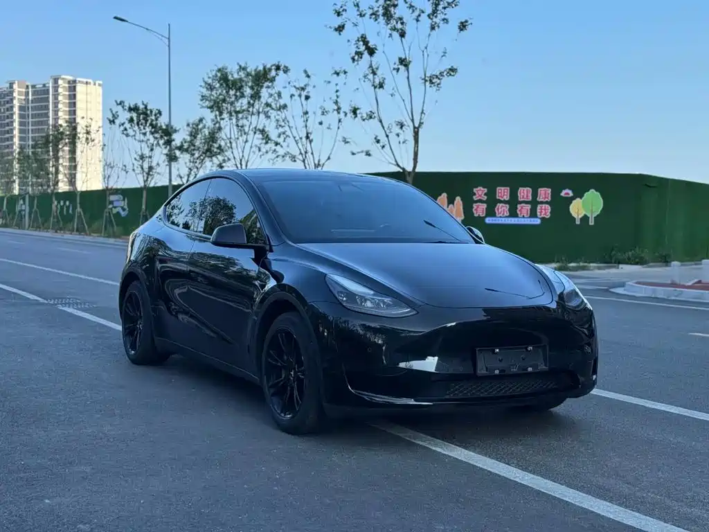 Tesla Model Y — миниатюра 3