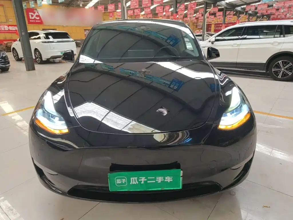 Tesla Model Y — миниатюра 3