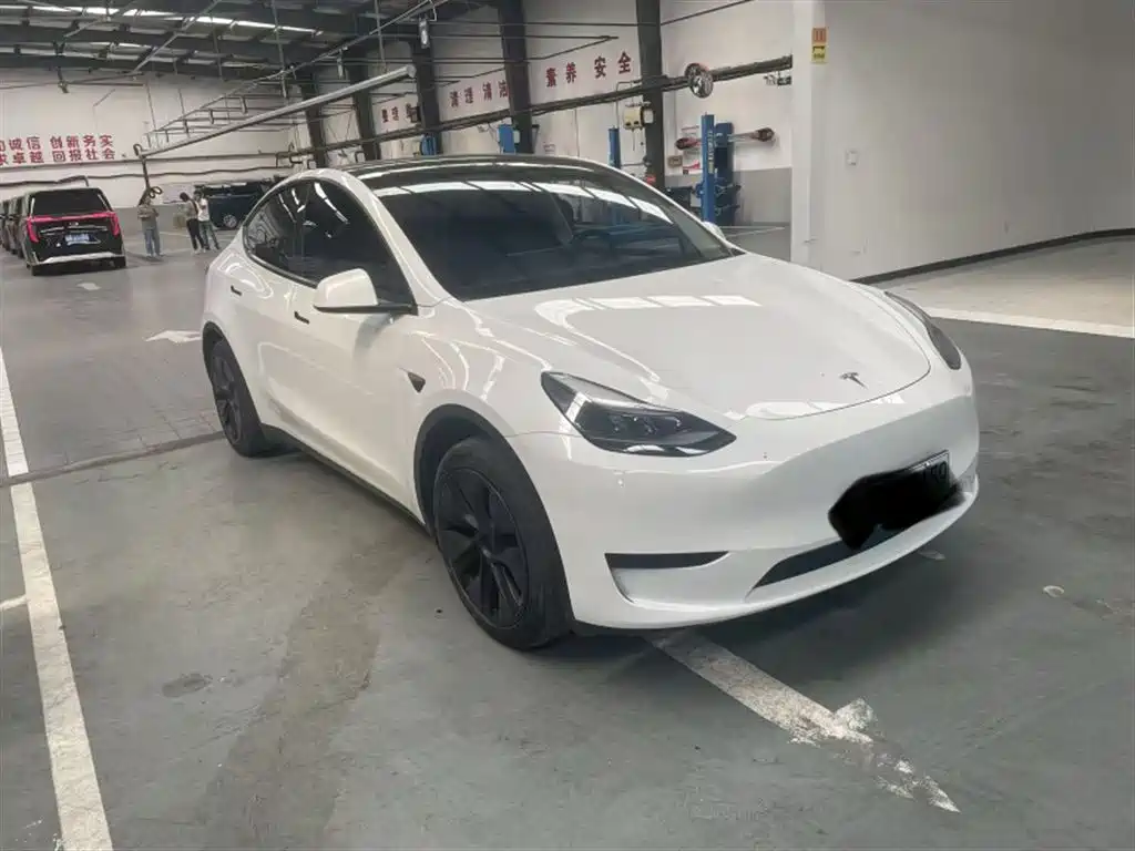 Tesla Model Y — миниатюра 2