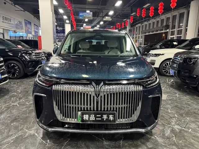 2025 Voyah Dream
