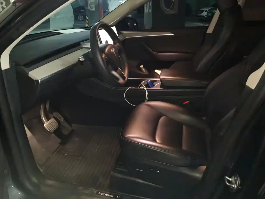 Tesla Model Y — миниатюра 9