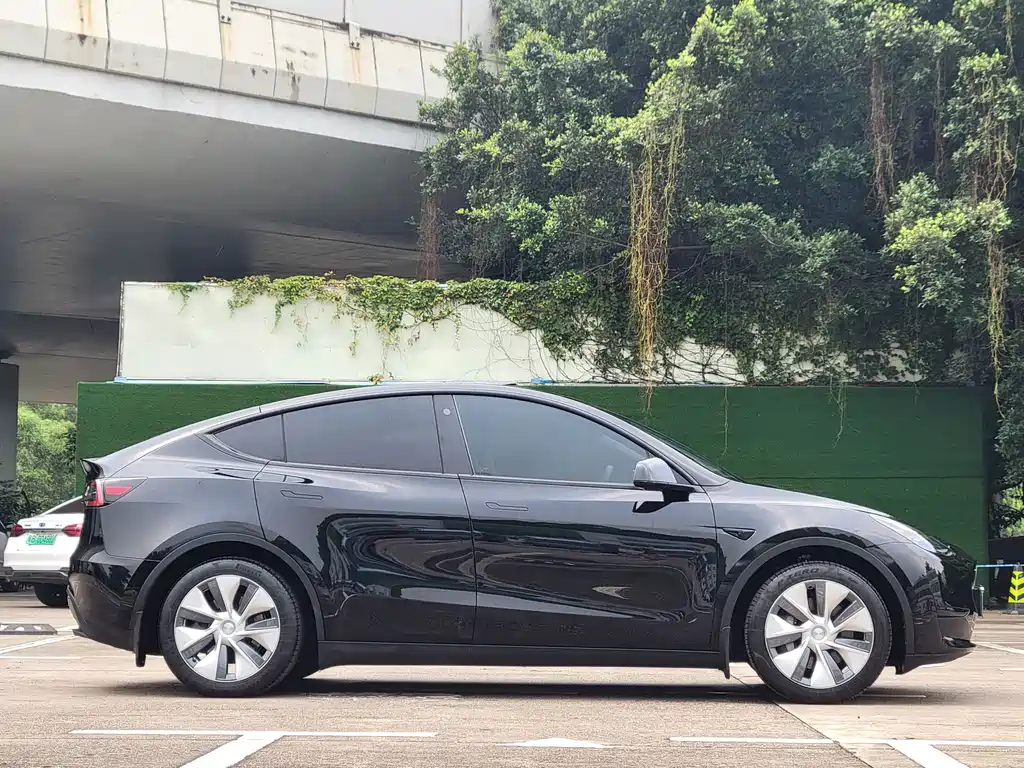 Tesla Model Y — миниатюра 13